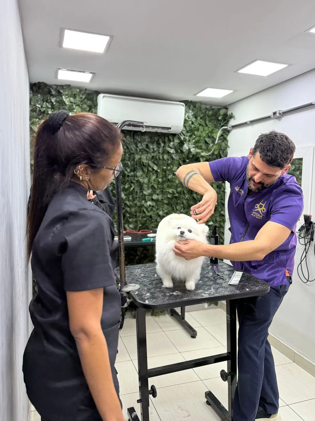 Sala de banho e tosa do Espaço Vila Animal, com dois profissionais atendendo um Spitz