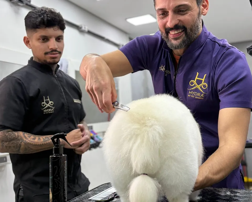 Acabamento da tosa de um Spitz na bancada do Espaço